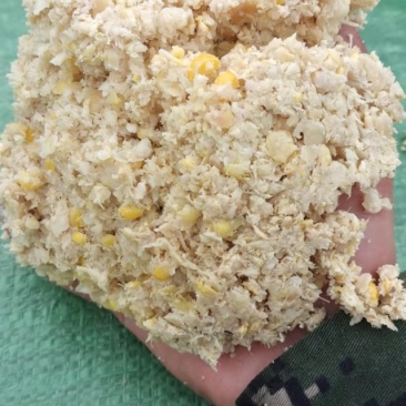 熟玉米