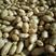 兰陵县精品土豆，黄皮黄心，产地直发，物流全国个头匀称