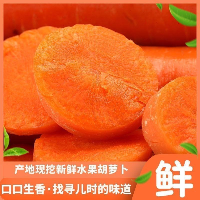 胡萝卜批发现挖现发新鲜萝卜电商代发一件代发红萝卜水果萝卜