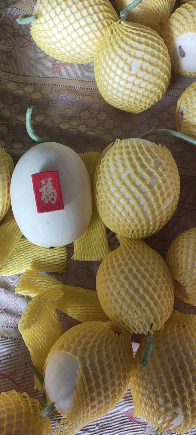 河南甜红玉2号.东方蜜2号代发电商，代发货万亩基地龚垒