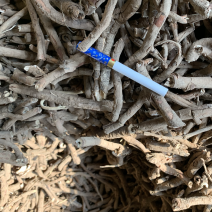 牡丹皮黑统，一棵树