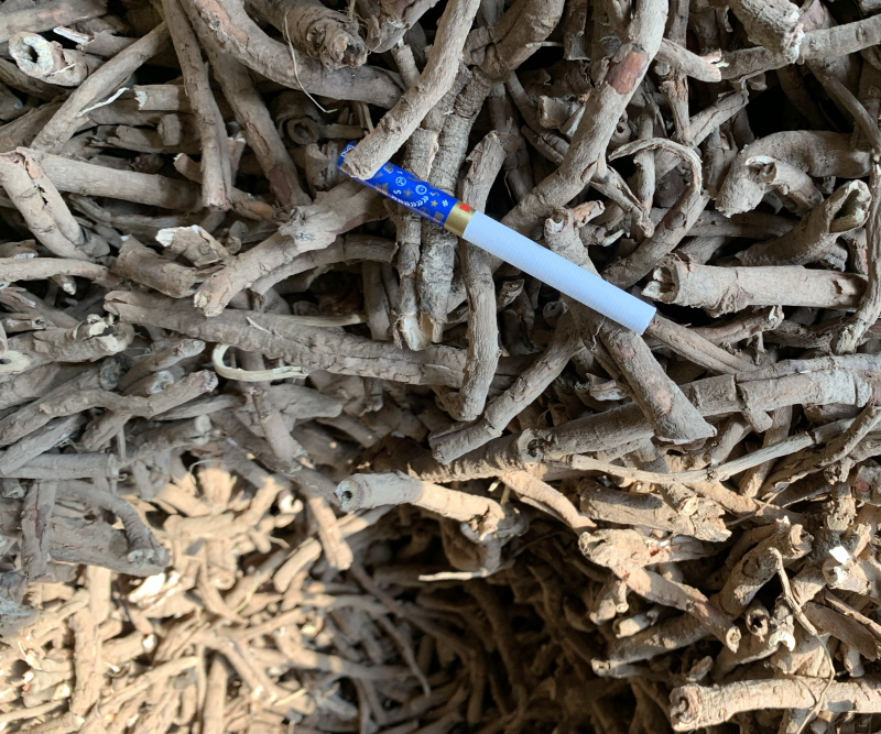 牡丹皮黑统，一棵树