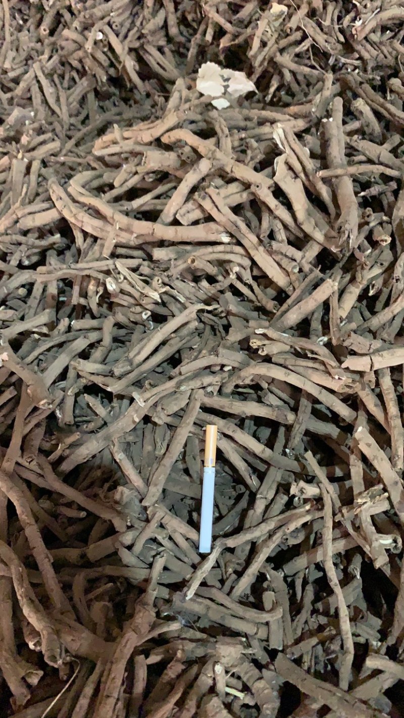 牡丹皮黑统，一棵树