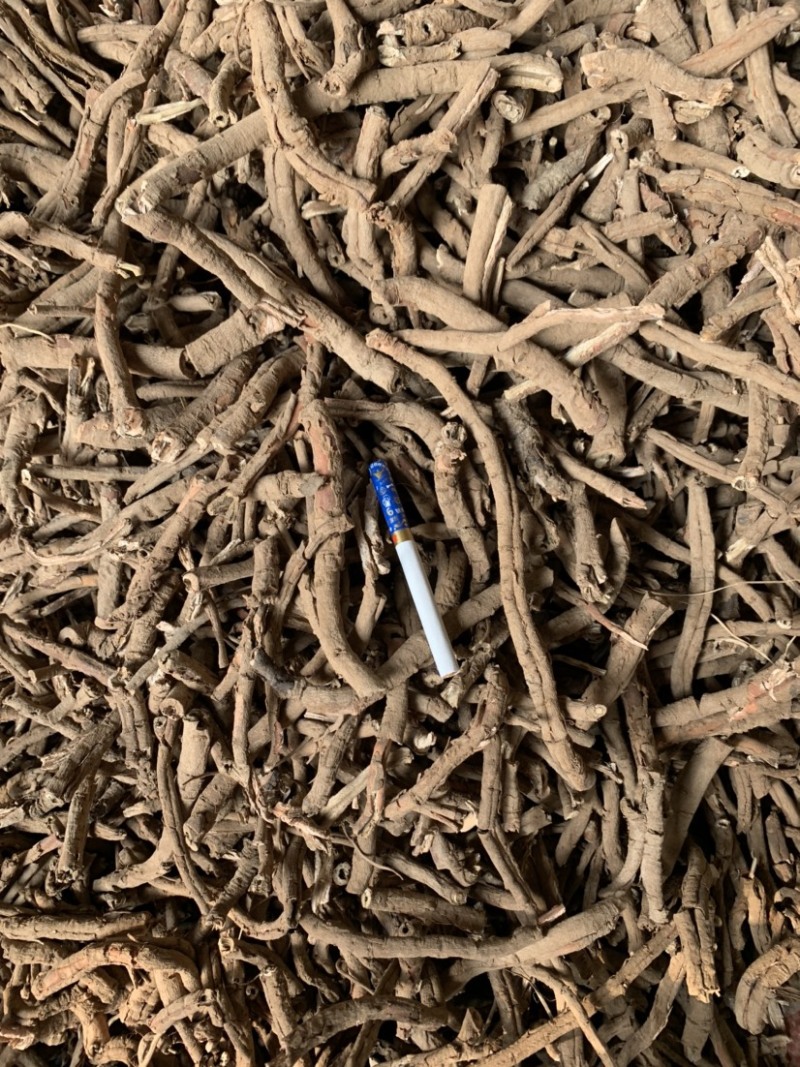 牡丹皮黑统，一棵树