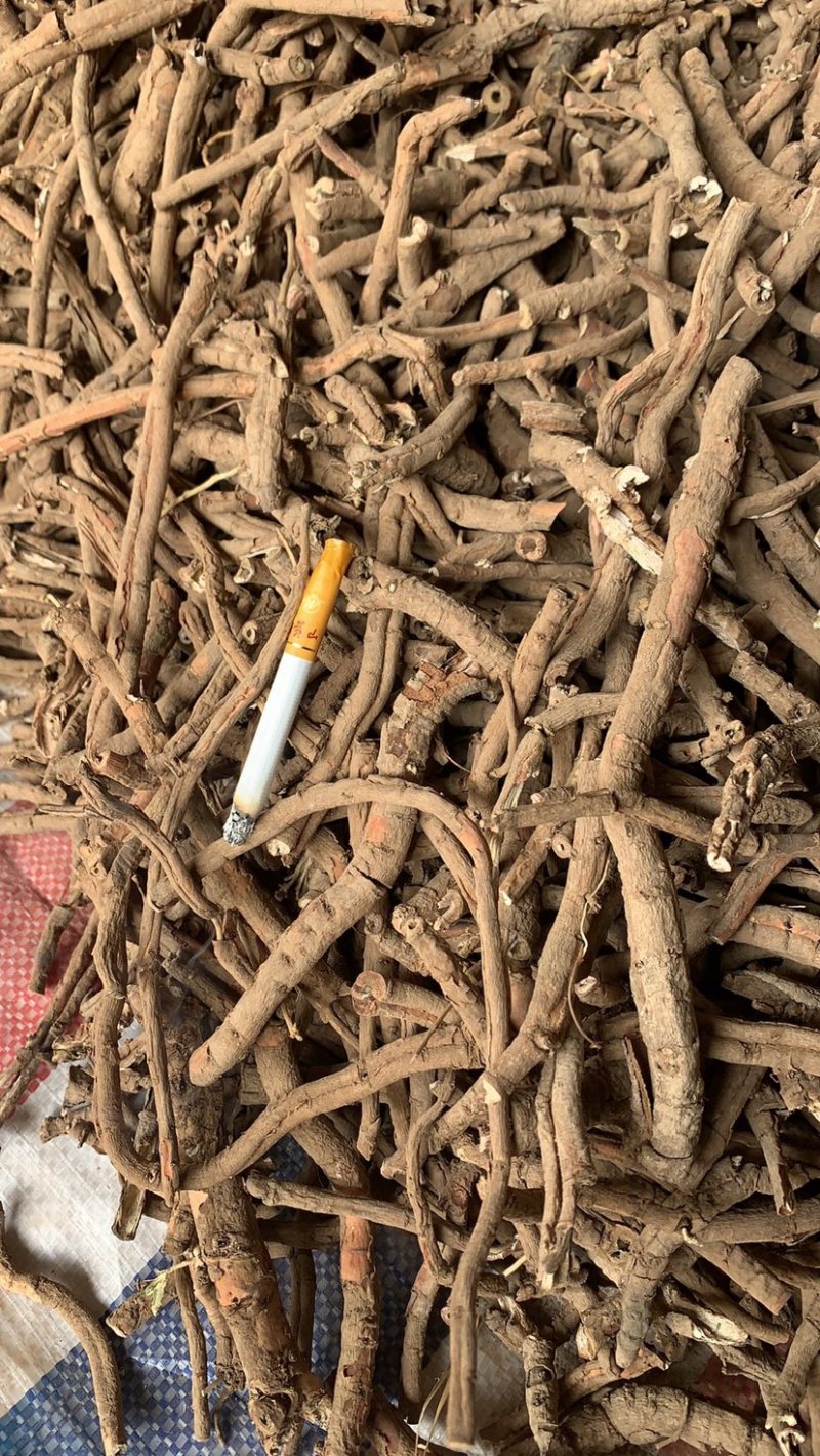 牡丹皮黑统，一棵树
