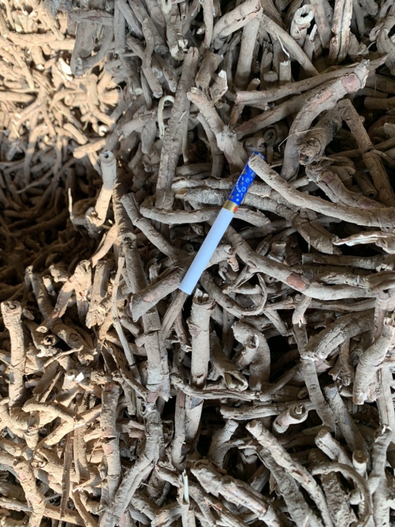 牡丹皮黑统，一棵树