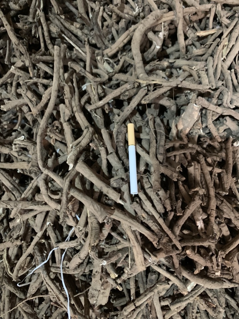 牡丹皮黑统，一棵树