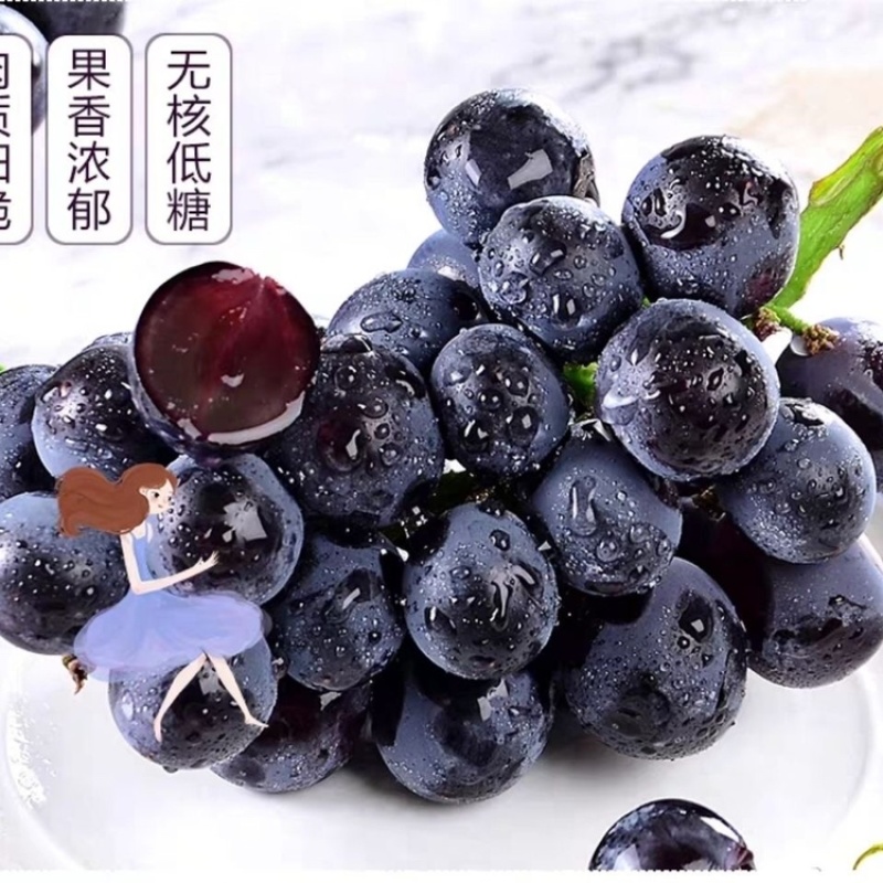 【精选】晋州葡萄基地早夏黑大量上市欢迎大家前来选购