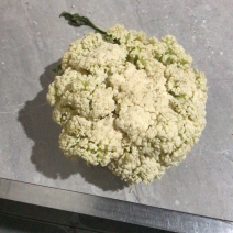 松花