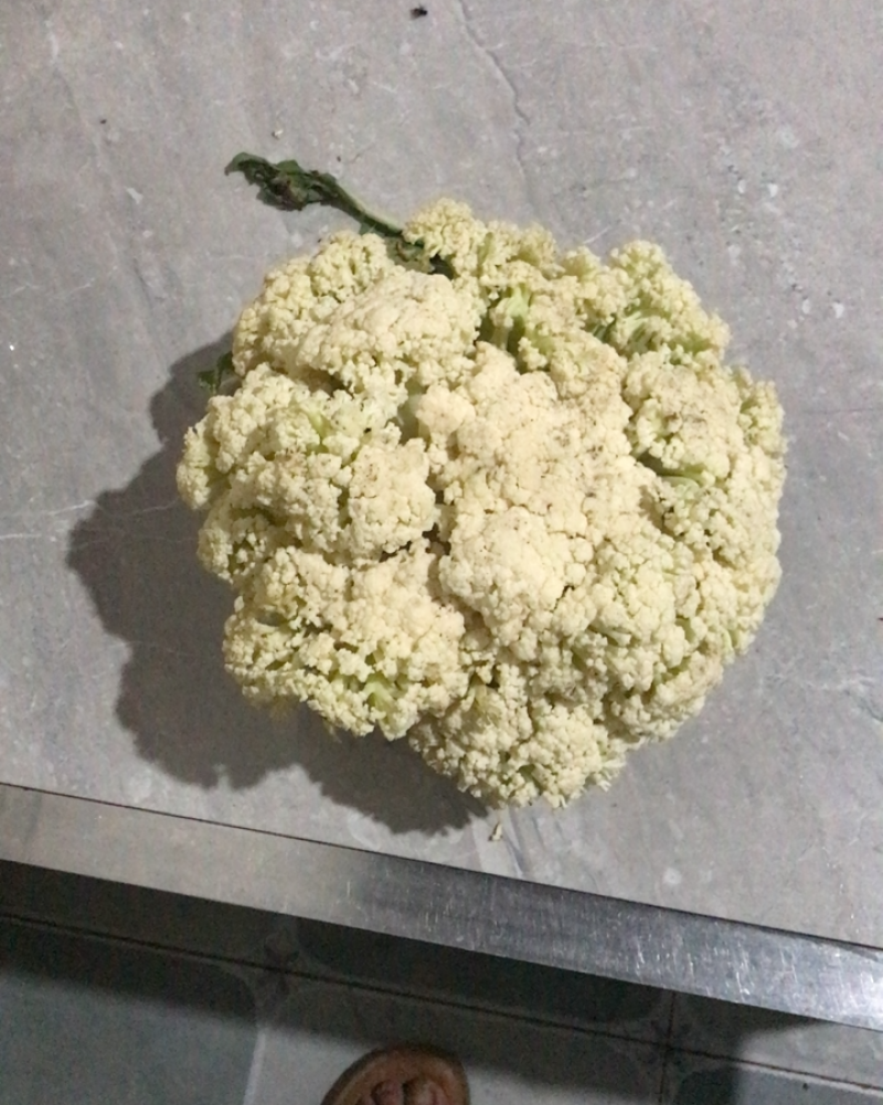 松花