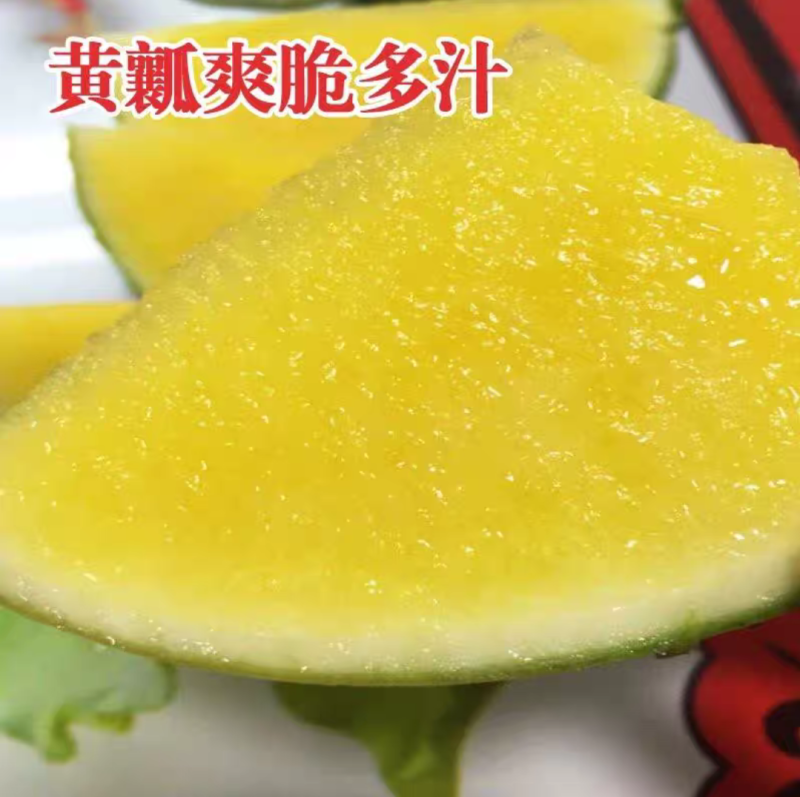 金露无籽西瓜种子黑皮黄瓤无籽皮薄糖度13度大瓜黄肉