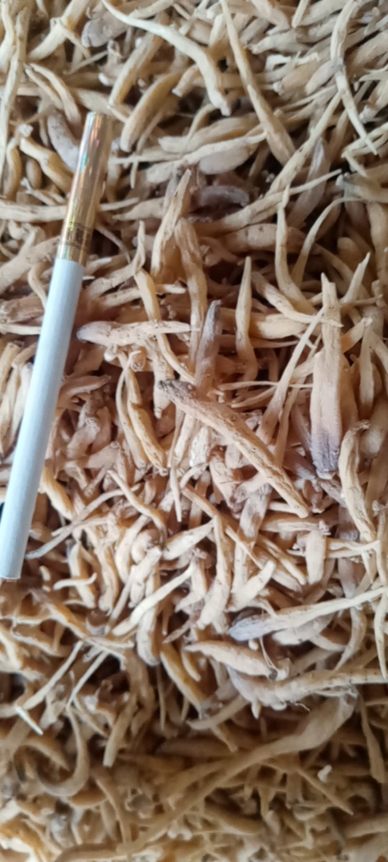 本公司常年经营各种地产中药材，谒诚为全国药商朋友代购，，