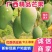 广西百色桂七大量现货,对接各类电商平台,桂七芒4两以上