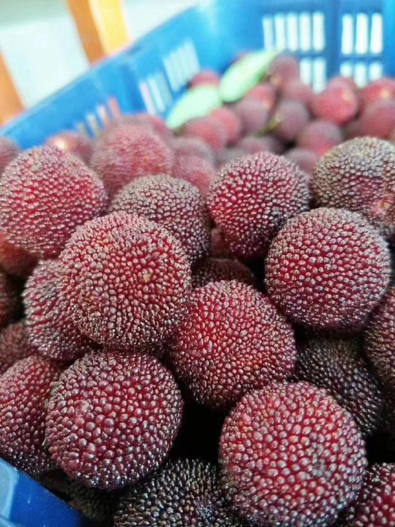 乌梅东魁