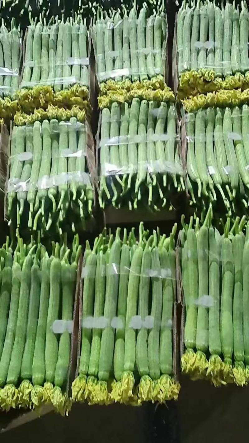 【实力商家】江苏精品鲜花丝瓜大量上市，货源充足价格便宜