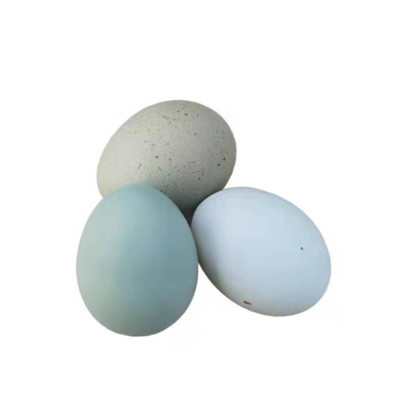 芦丁鸡蛋，营养高，价格优惠，养殖基地直发欢迎采购