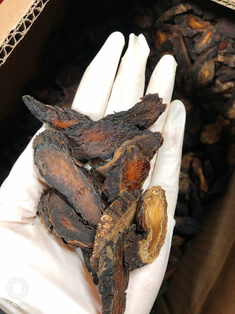 内蒙古阿拉善肉苁蓉