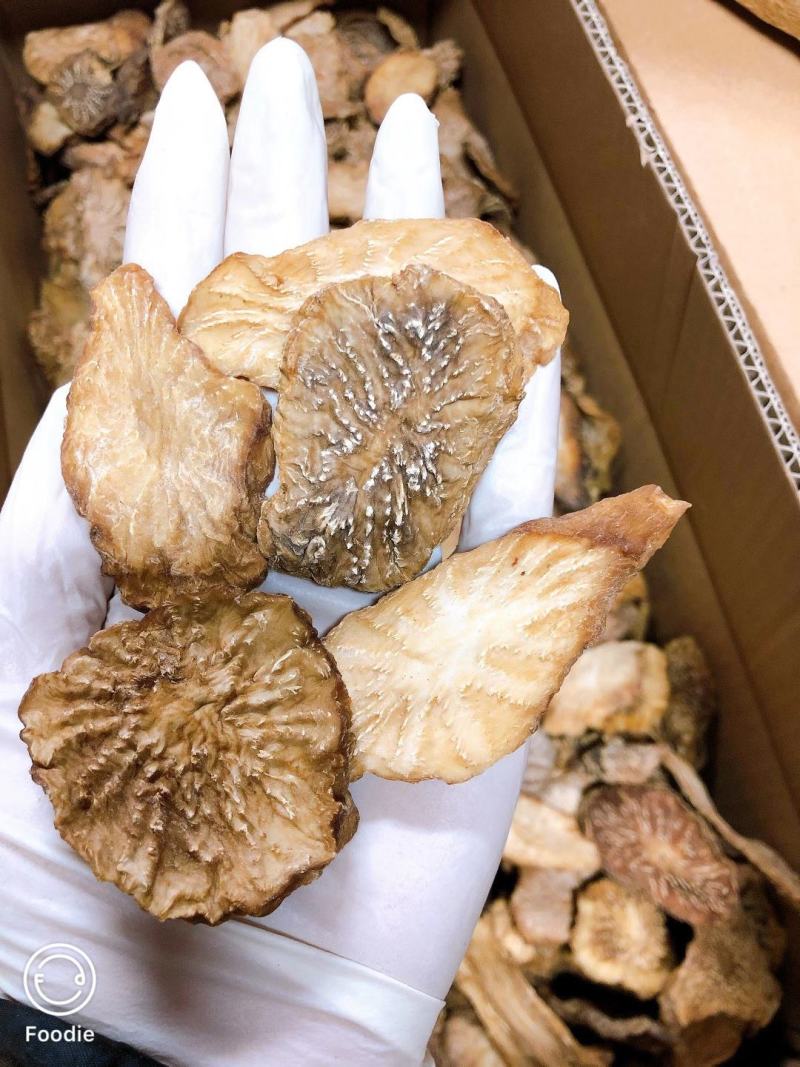 内蒙古阿拉善肉苁蓉