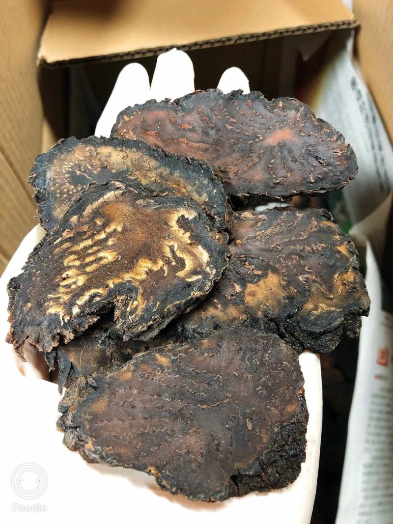 内蒙古阿拉善肉苁蓉