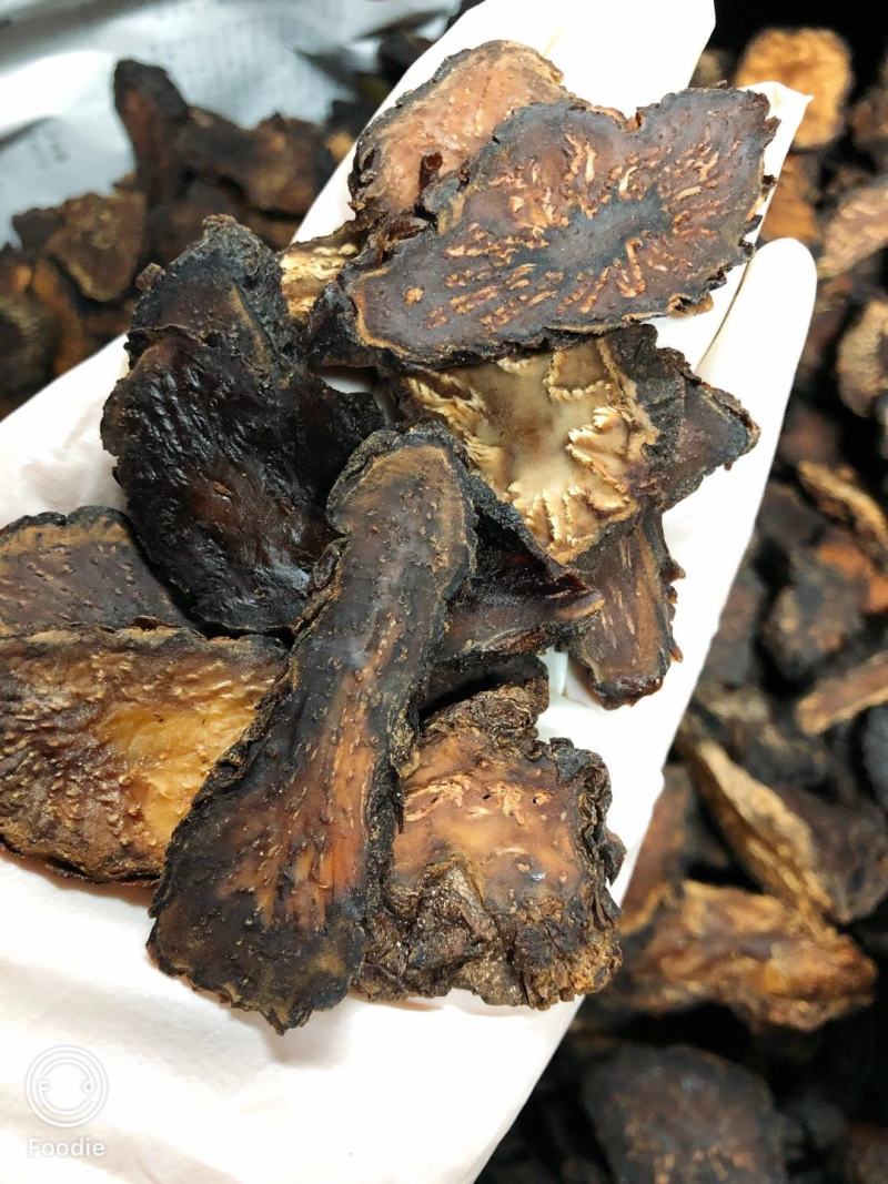 内蒙古阿拉善肉苁蓉