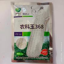 农科玉糯玉米种子国审品种大棒口感香糯品种种子