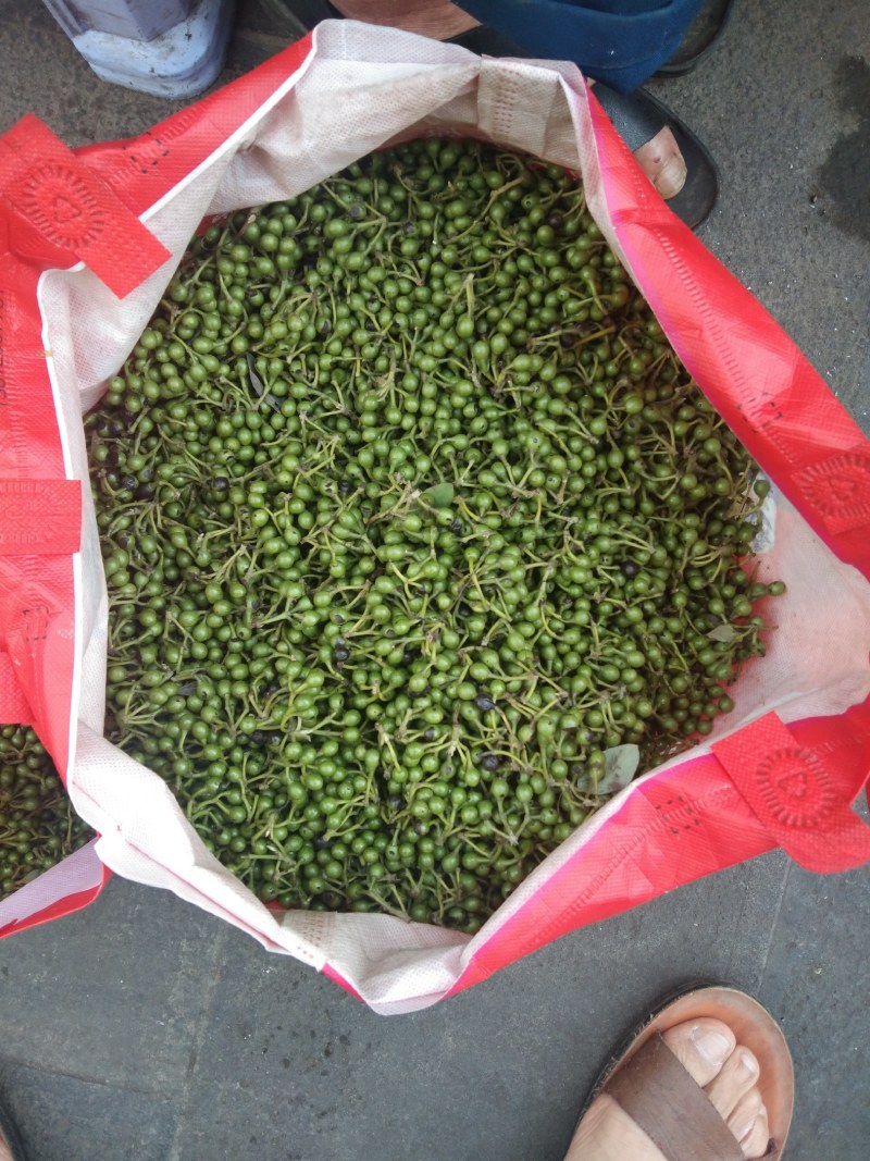 山胡椒粒，新鲜的，货好，单价便宜