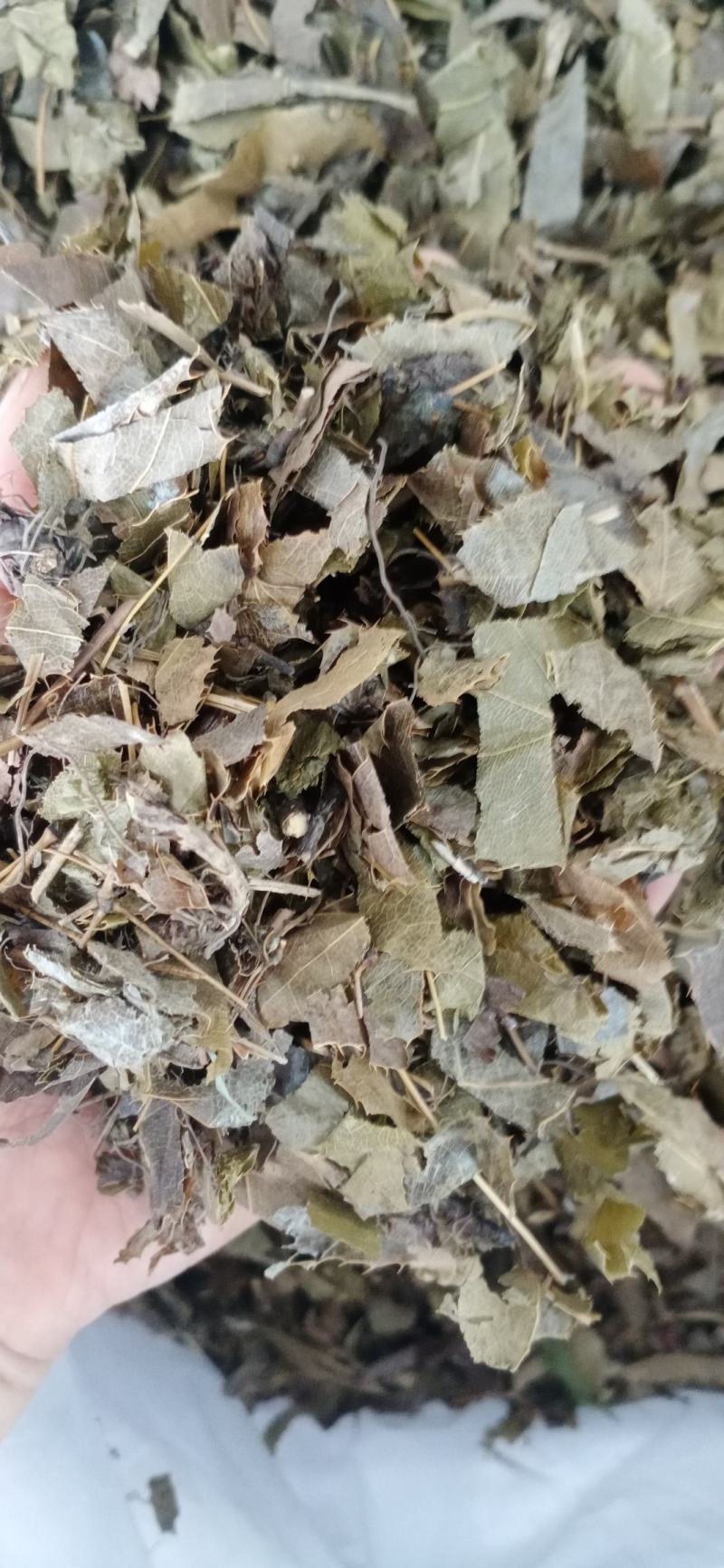 淫羊藿，甘肃小叶淫羊藿，中药材批发，按方抓药，超微粉加工