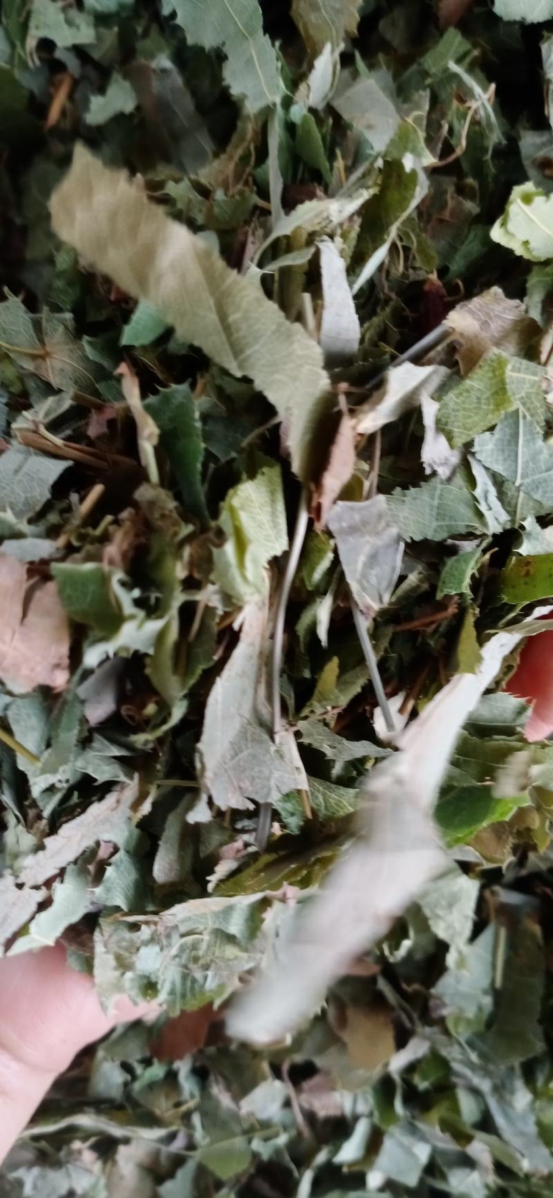 淫羊藿，甘肃小叶淫羊藿，中药材批发，按方抓药，超微粉加工