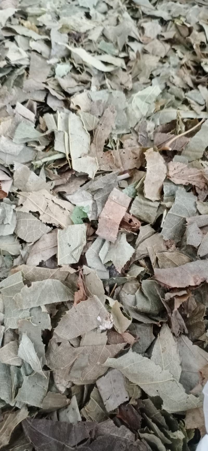 淫羊藿，甘肃小叶淫羊藿，中药材批发，按方抓药，超微粉加工