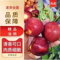 油桃品种齐全，有中油，金雷，曙光，，一手货源，质量保证。