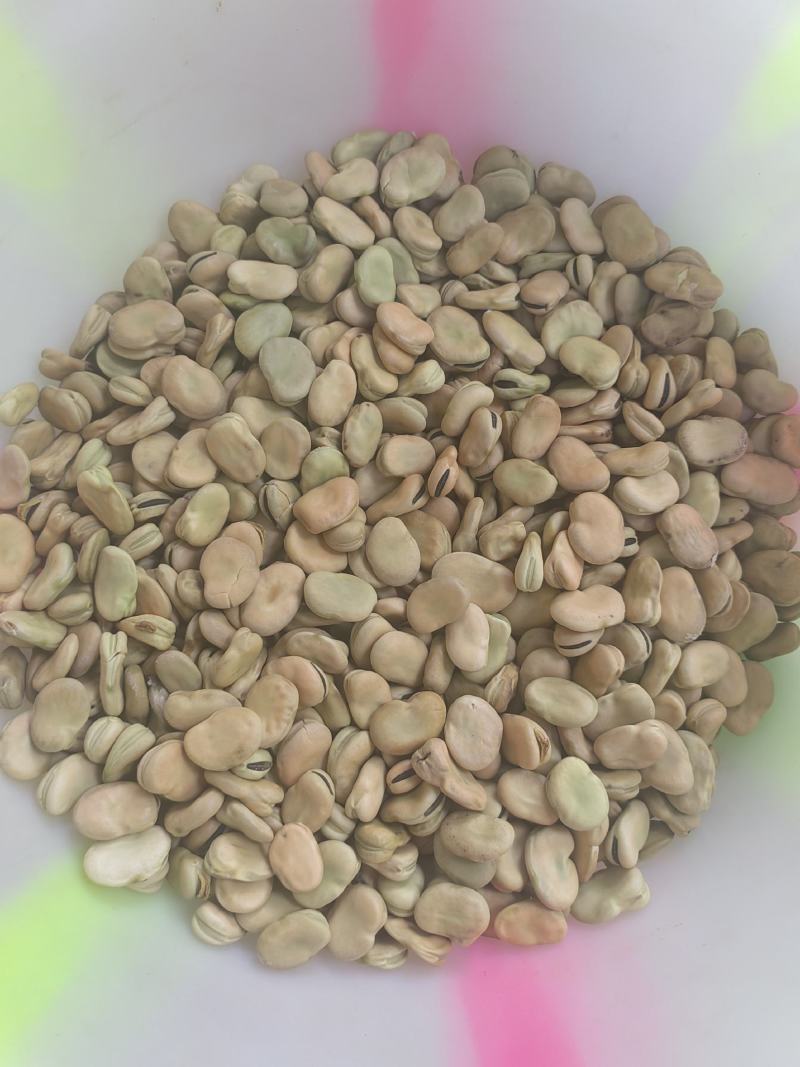 蚕豆胡豆新鲜干胡豆（四川中江本地干胡豆）产地直销