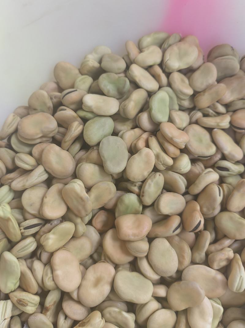 蚕豆胡豆新鲜干胡豆（四川中江本地干胡豆）产地直销