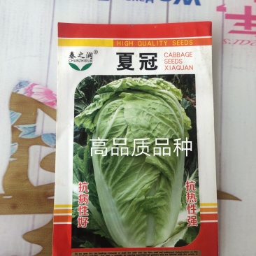 夏冠白菜种子单球4斤38度高温正常结球抗软腐病囗感好吃