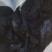 【一件代发】木炭，烧烤炭，陕西苹果树产区，苹果木基地，人