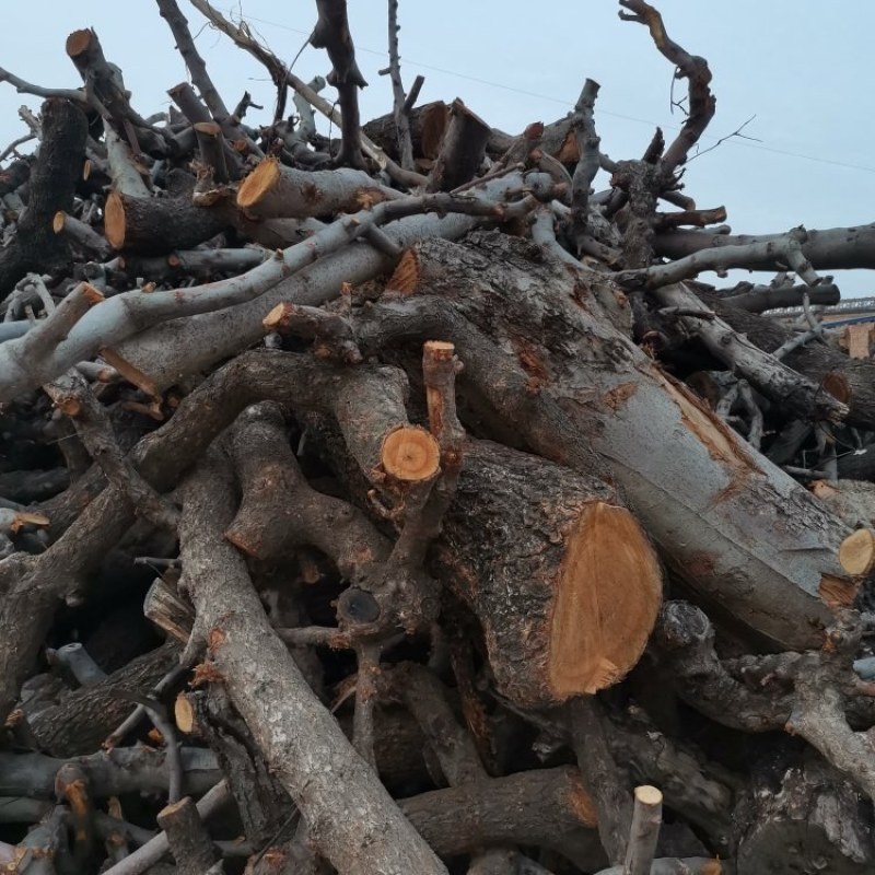 【一件代发】木炭，烧烤炭，陕西苹果树产区，苹果木基地，人