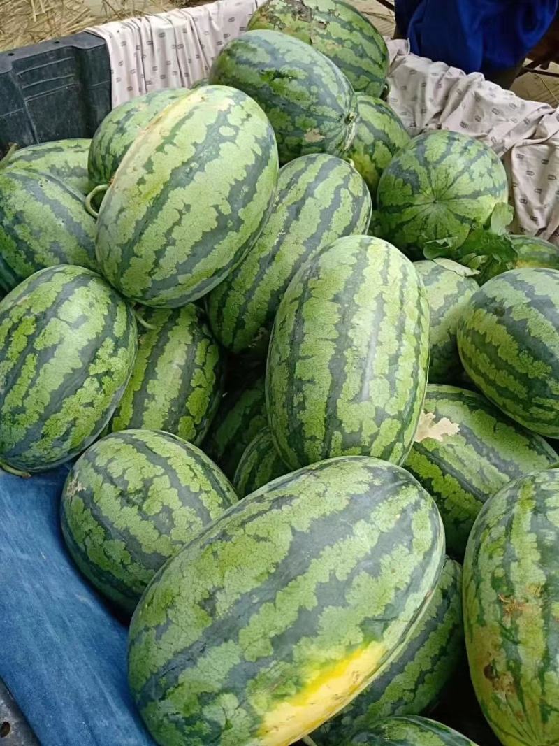 精品绿爽，货源充足，糖度高且耐运输，保质保量，