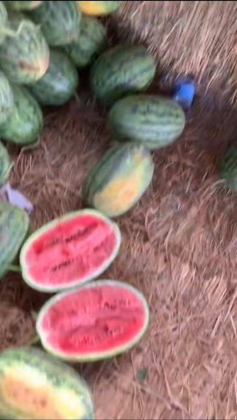 精品绿爽，货源充足，糖度高且耐运输，保质保量，