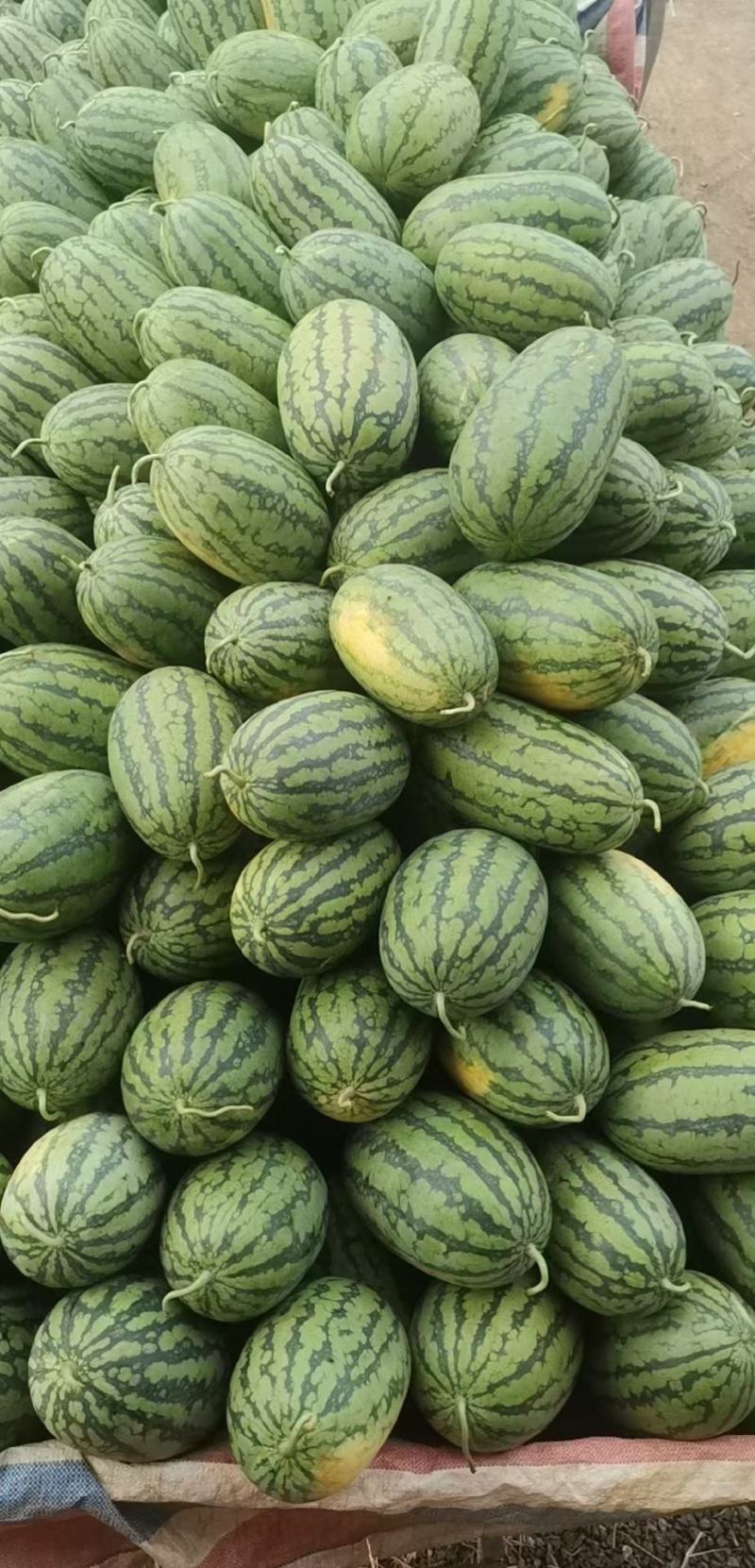 精品绿爽，货源充足，糖度高且耐运输，保质保量，