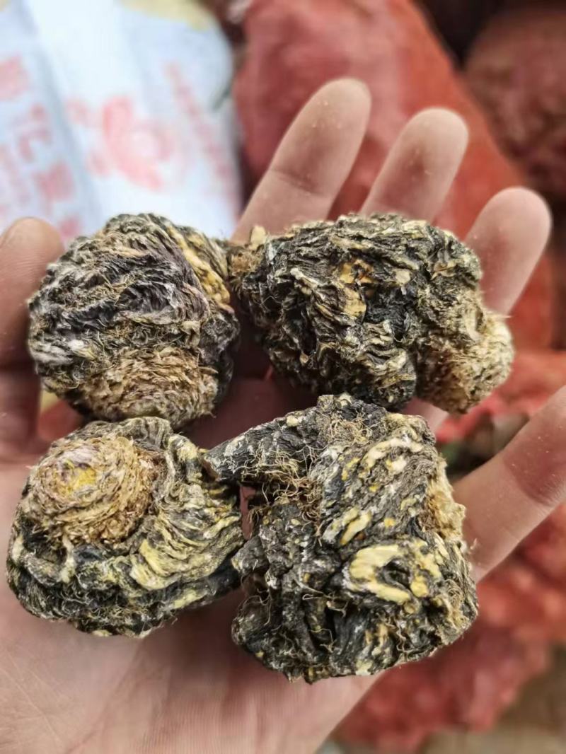 黑玛咖丽江黑玛咖秘鲁玛咖滋补泡酒泡水炖汤