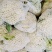 花菜大量供应、产地直销、质量保证、支持各种包装