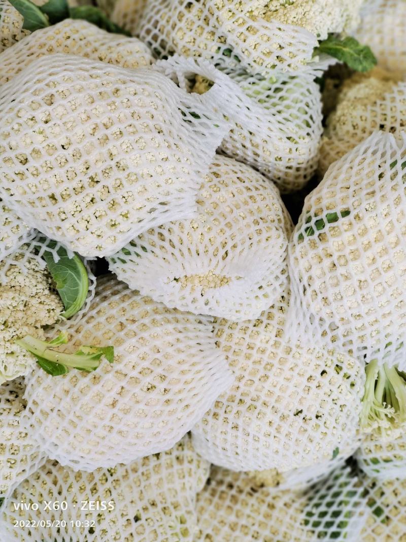 花菜大量供应、产地直销、质量保证、支持各种包装