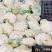 花菜大量供应、产地直销、质量保证、支持各种包装