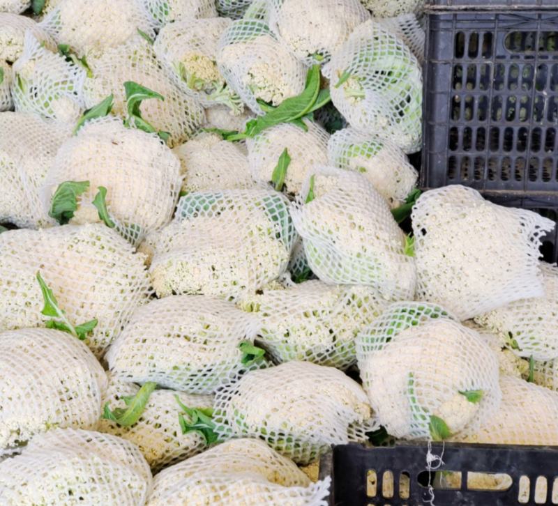 花菜大量供应、产地直销、质量保证、支持各种包装