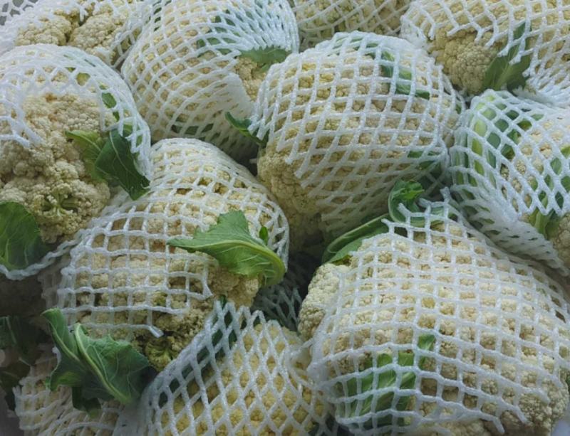花菜大量供应、产地直销、质量保证、支持各种包装