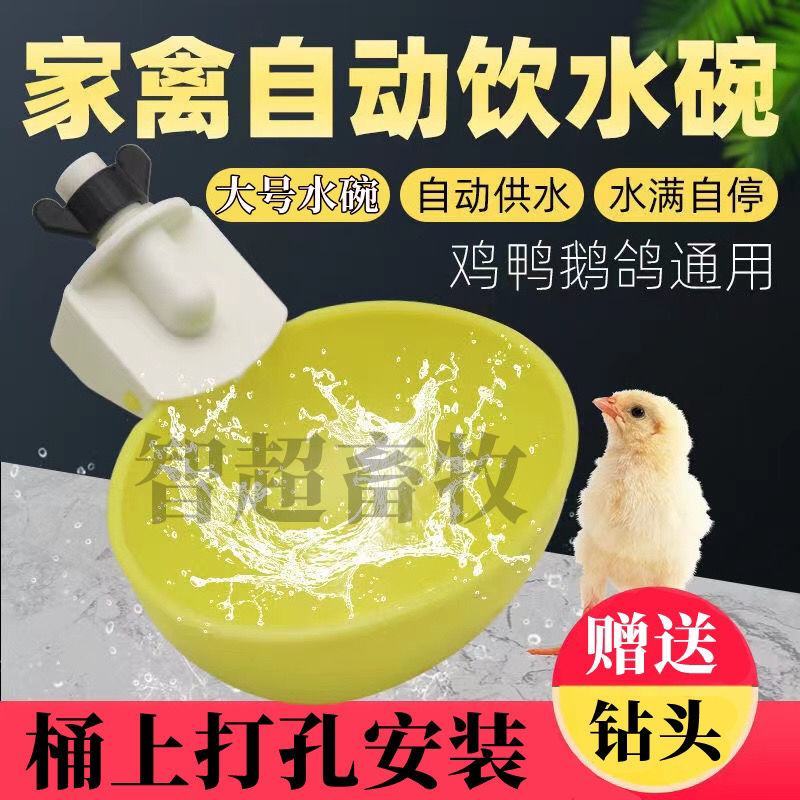 大号【送钻头】鸡鸭鹅用自动饮水器饮水碗鸽子鹌鹑家禽自动饮