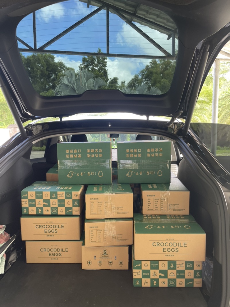 鳄鱼蛋，每年一次，被称为龙蛋，每年4-8月份可以出售，