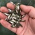 草鱼夏片大量供应皖鱼苗一斤300尾常州