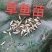 草鱼夏片大量供应皖鱼苗一斤300尾常州
