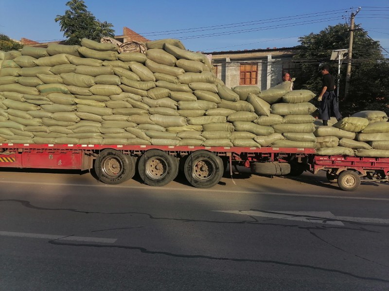 青桑叶即将上市现在寻求全国各地客户