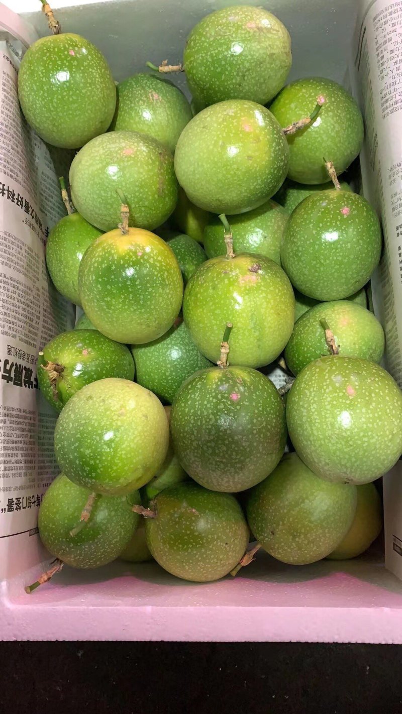 海南百香果小黄金芭乐味蜂蜜味➕钦蜜9号代办市场